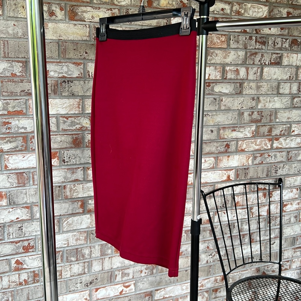 Forever21 Burgundy Skirt